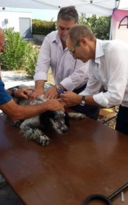microchip-2-188x300 Terme Vigliatore, Successo di Randagioioso: oltre 60 i microchip inseriti