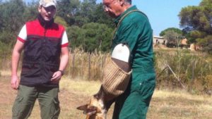 corso-veterinario-doc-2-300x169 Messina. Concluso il corso di formazione per Personale non Veterinario, Maesano: "Ora più attenzione da parte delle Istituzioni"