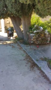 cimiterosporco3-169x300 Barcellona, degrado al cimitero comunale: la segnalazione dei nostri lettori
