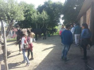 IMG-20170505-WA0024-300x225 Alternanza scuola-lavoro, gli studenti della 4A del liceo delle scienze umane ospiti del Campus Crescita