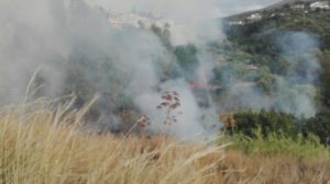 18987444_10211686338945434_1668462014_o-300x168 Barcellona, incendio sulle colline: intervengono i Vigili del Fuoco