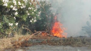 18987663_10211686339025436_2048523581_o-300x168 Barcellona, incendio sulle colline: intervengono i Vigili del Fuoco