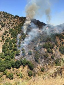 incendio-225x300 Nuovi focolai su territorio barcellonese: incendi vicino al Parco Jalari, a Migliardo e Maloto