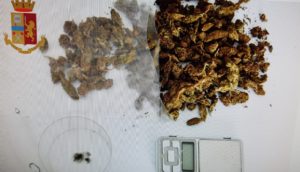 poliziadroga-300x172 Barcellona, in carcere un pusher che spacciava dagli arresti domiciliari