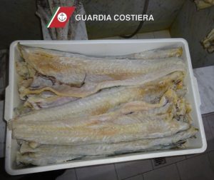 Comunicato-logo-300x252 23 kg. di stoccafisso adulterato sequestrato a Santa Lucia del Mela